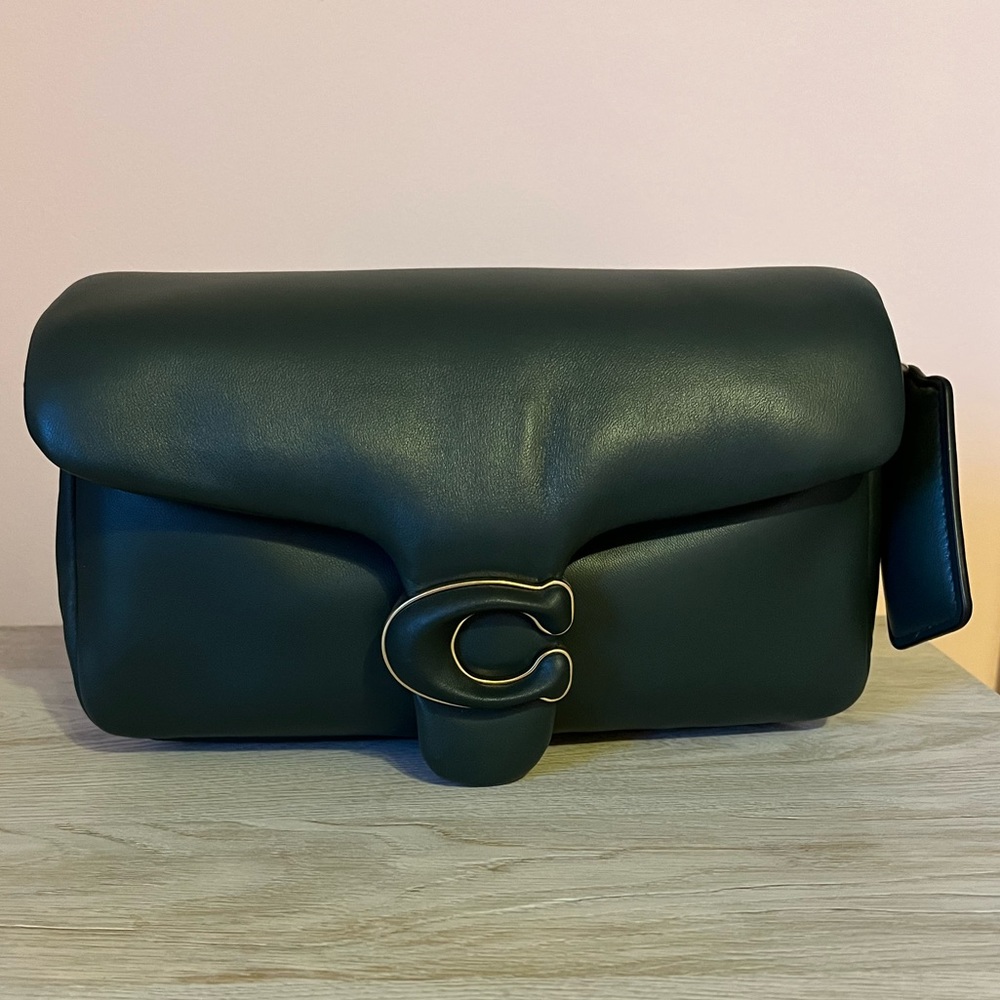 Coach pillow tabby 26 Amazon green